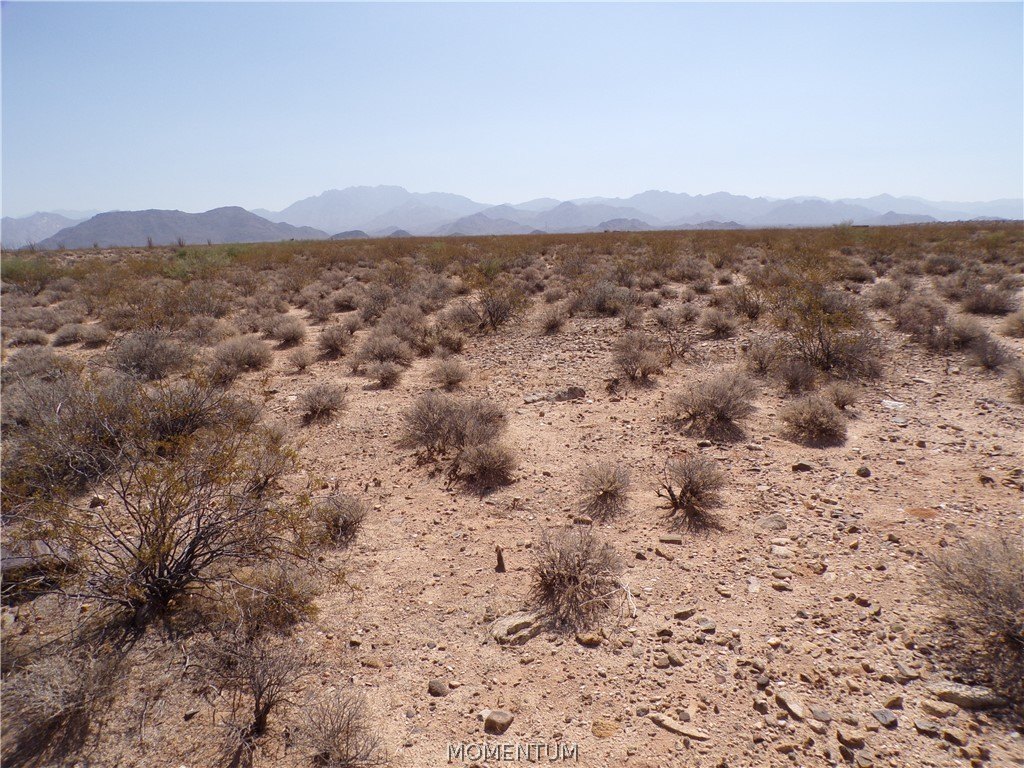 Picture 16