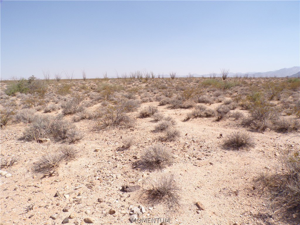 Picture 21