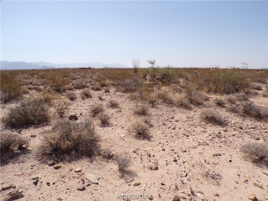 Picture 24