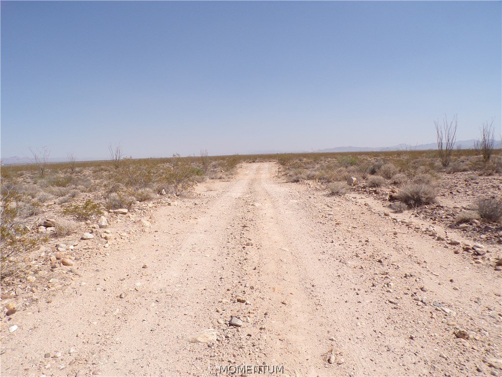 Picture 9