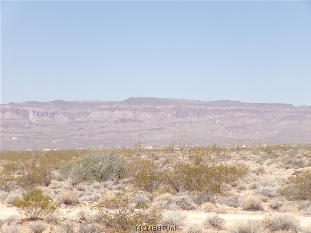 Picture 6