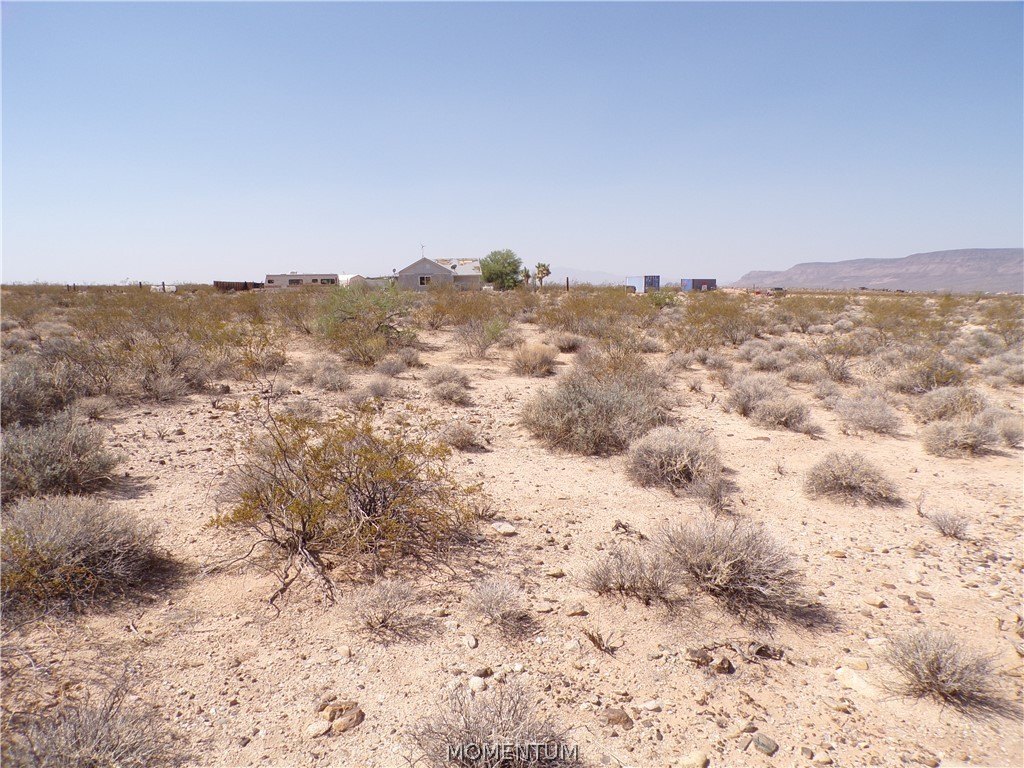 Picture 19