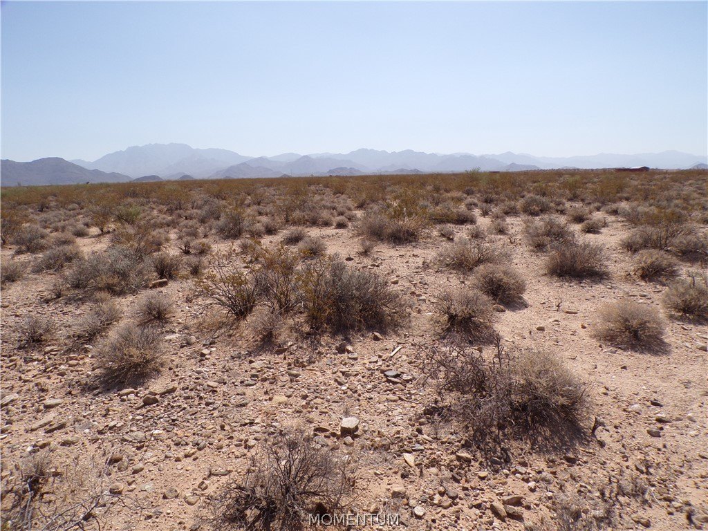 Picture 8