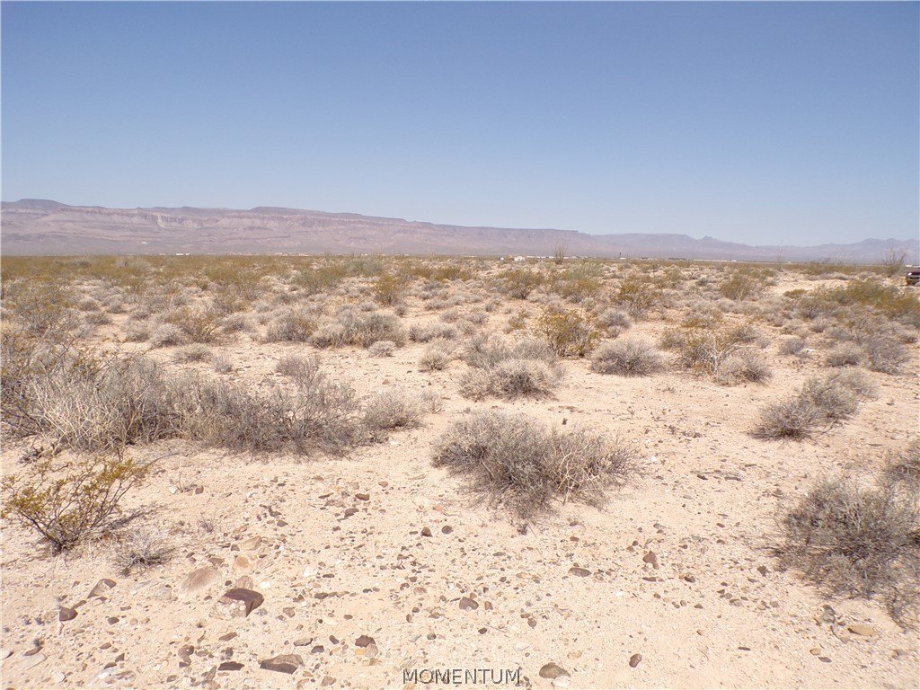 Picture 25