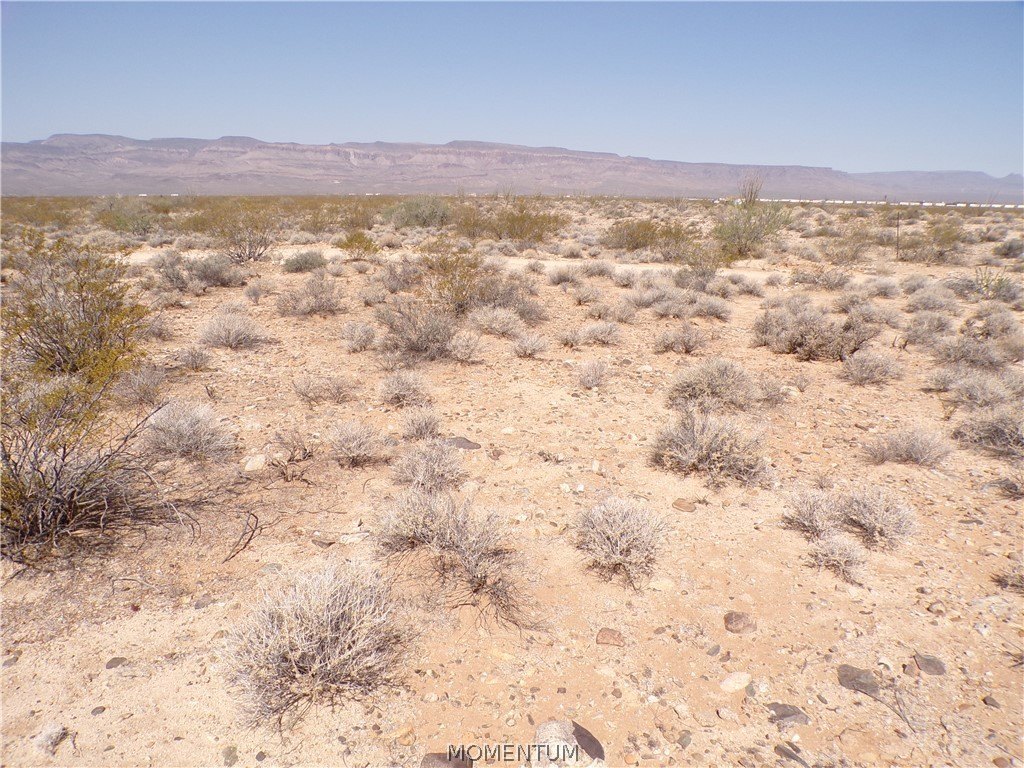 Picture 17