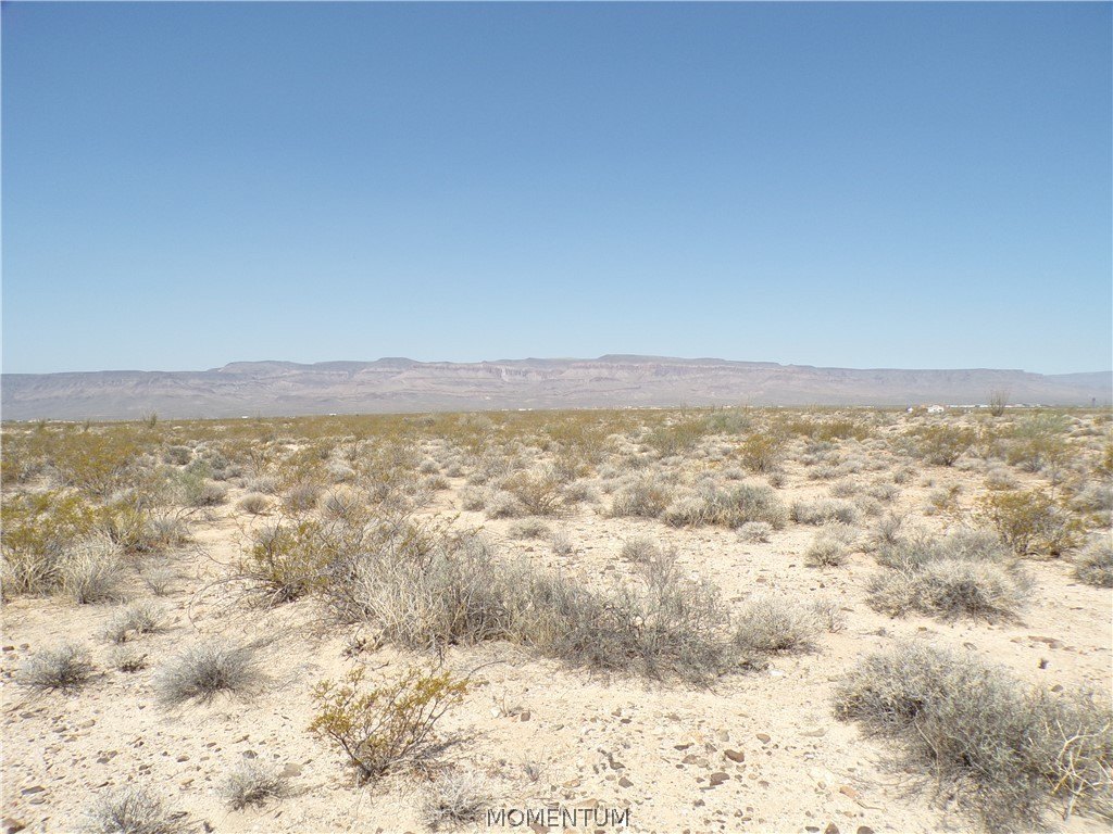 Picture 26