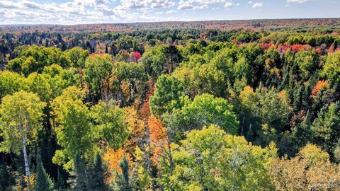 VACANT LAND, Pelkie, MI