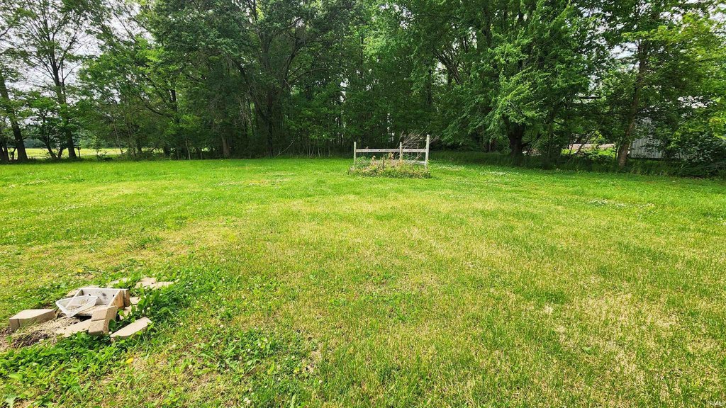 Picture 6