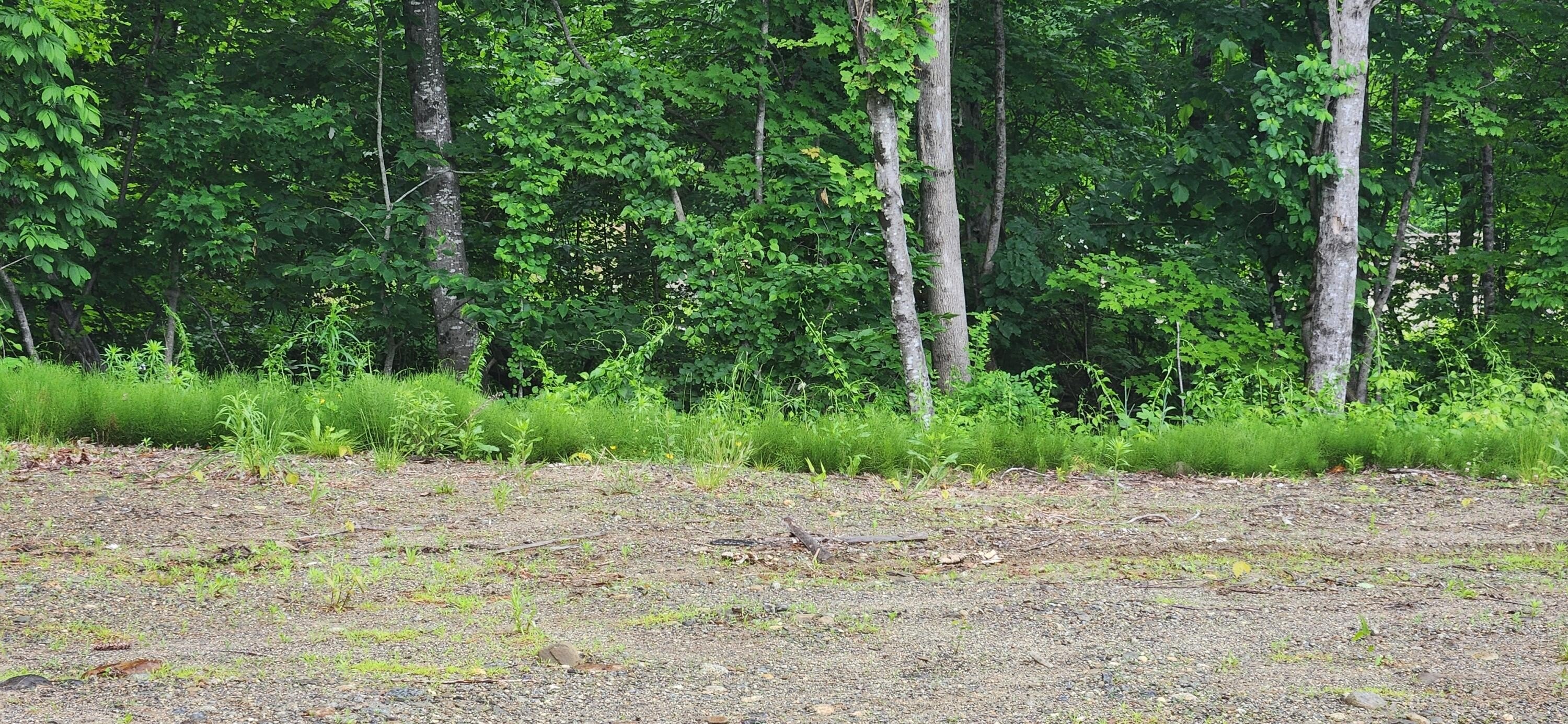 Residential Land in Farmington, ME