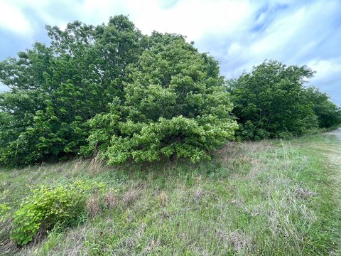 Land Near Lake Eufaula