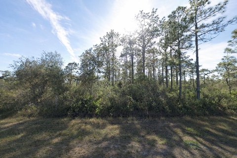 Residential Lot in Golfing Community