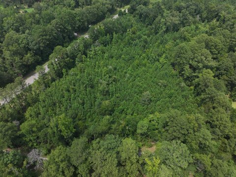 Land, Sterrett, AL
