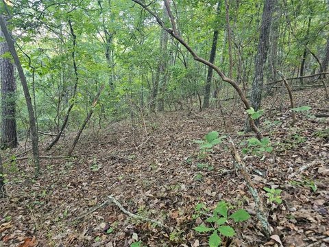 Land, Ranger, GA