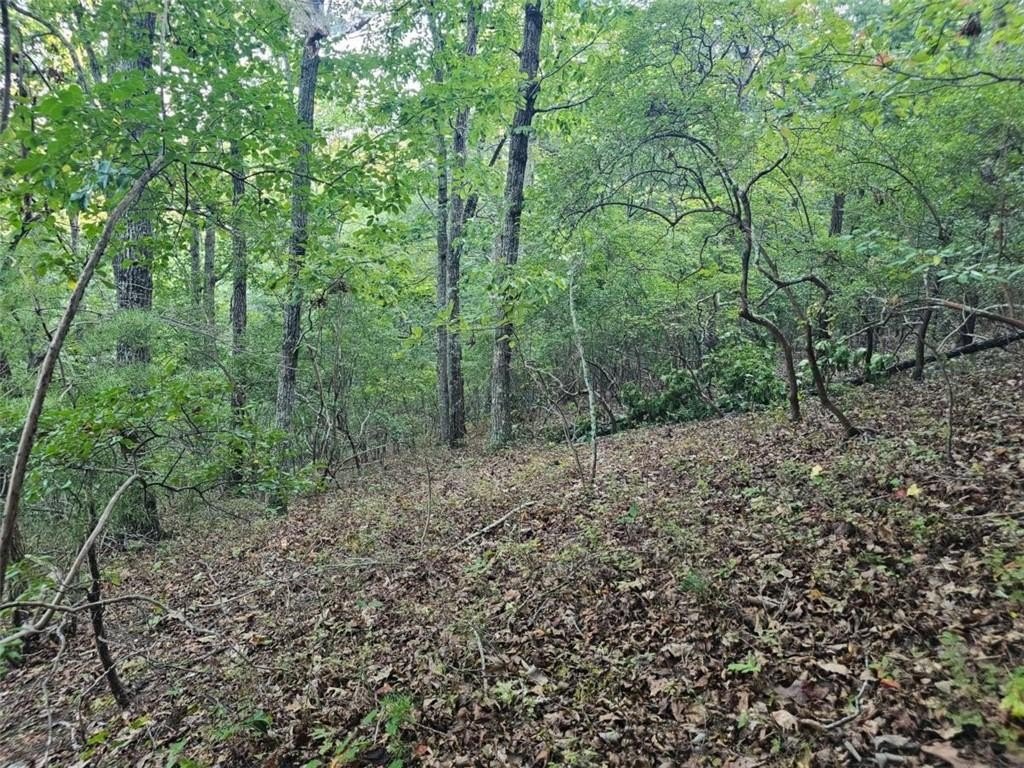 Picture 8