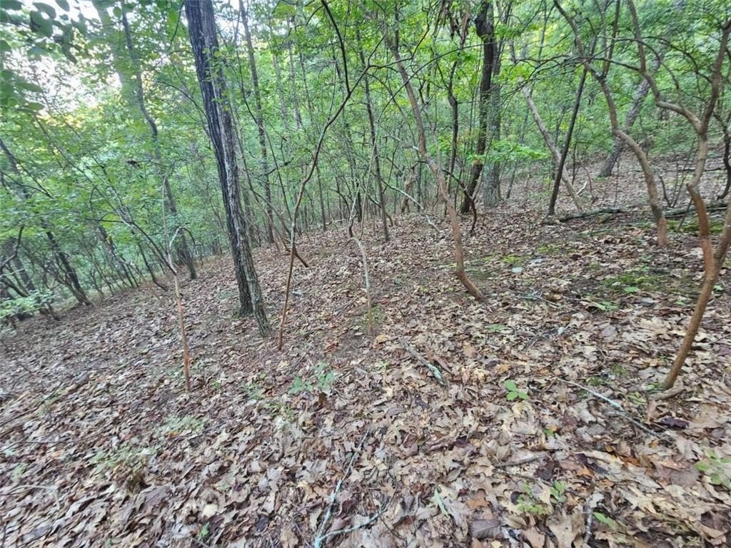 Picture 16