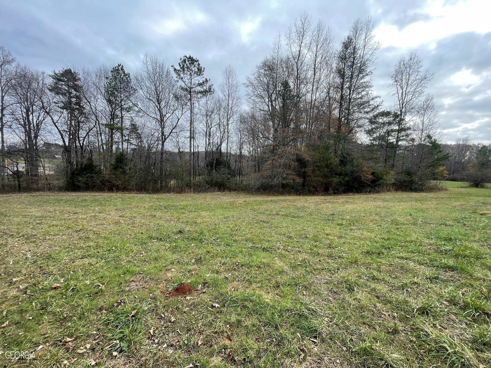 Hoschton Land for Mini Farm