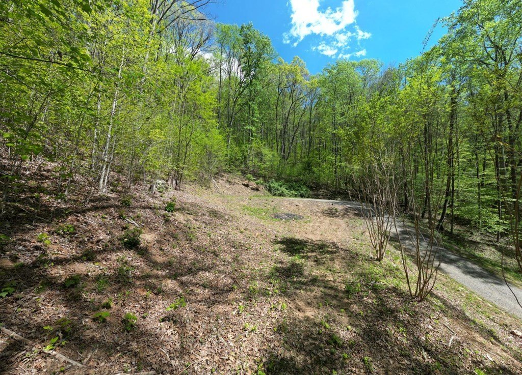 Picture 3