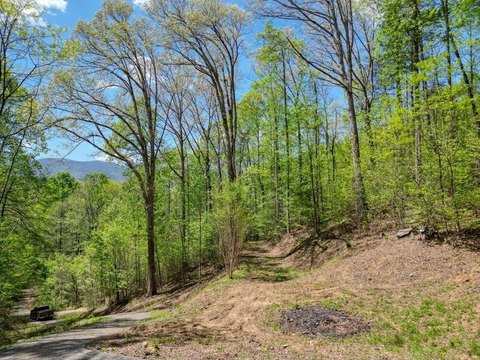 Unrestricted Building Lot with Forest Border
