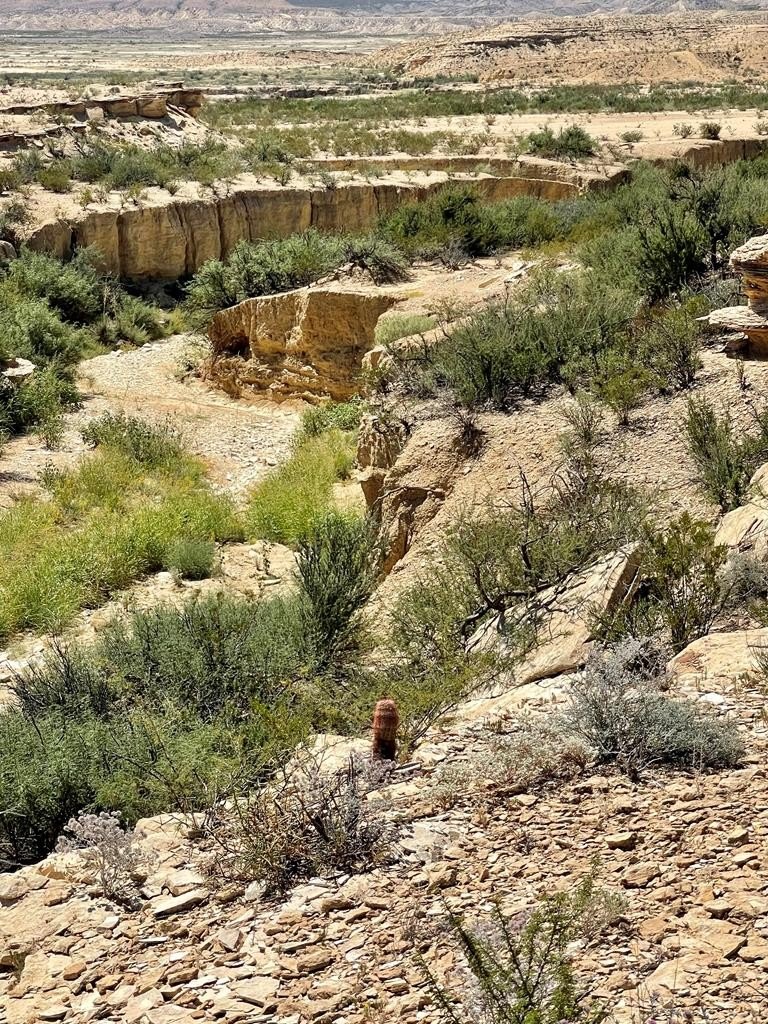 320 Acres Recreational Land Terlingua