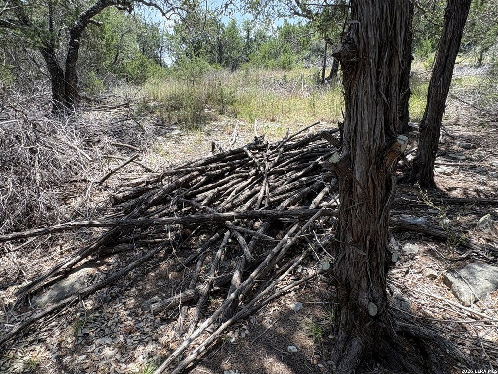 Picture 16
