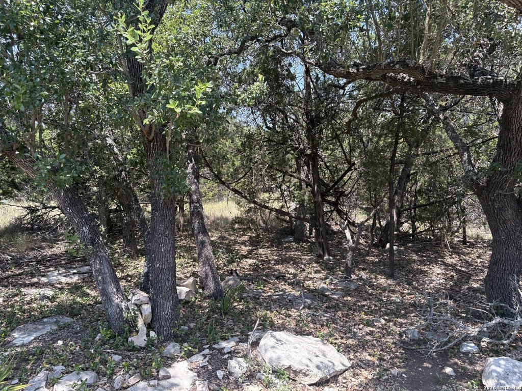 Picture 31