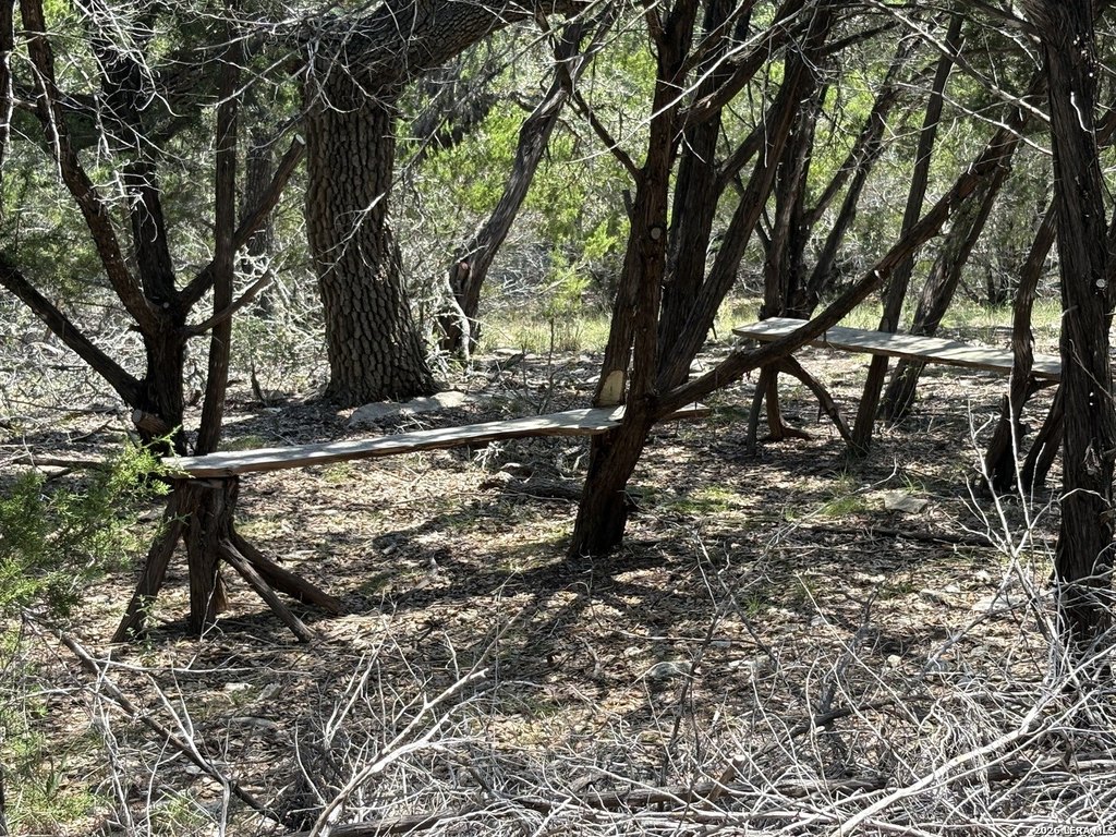 Picture 19