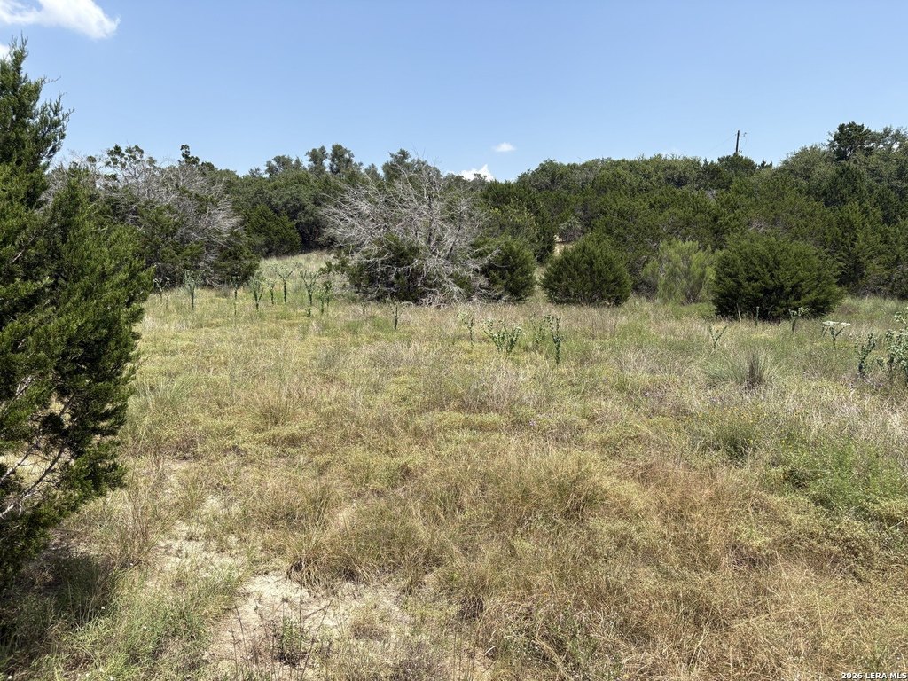 Picture 25