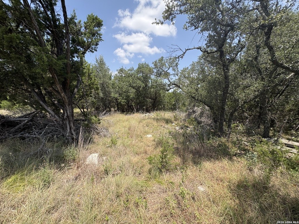 Picture 23