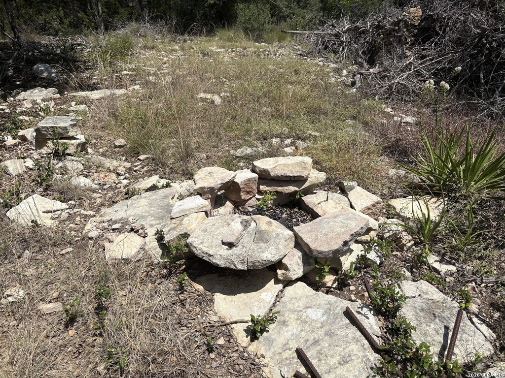 Picture 3