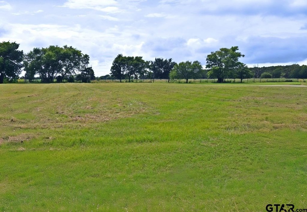Picture 16