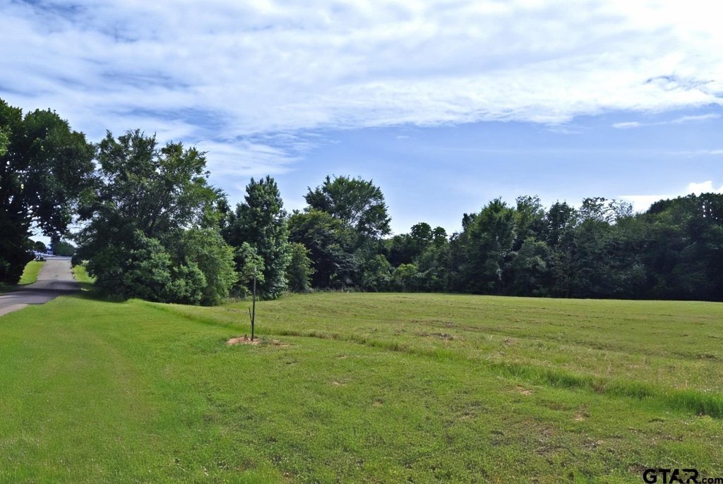 Picture 7