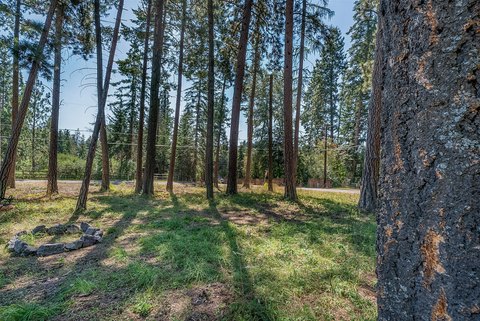 Land, Bigfork, MT