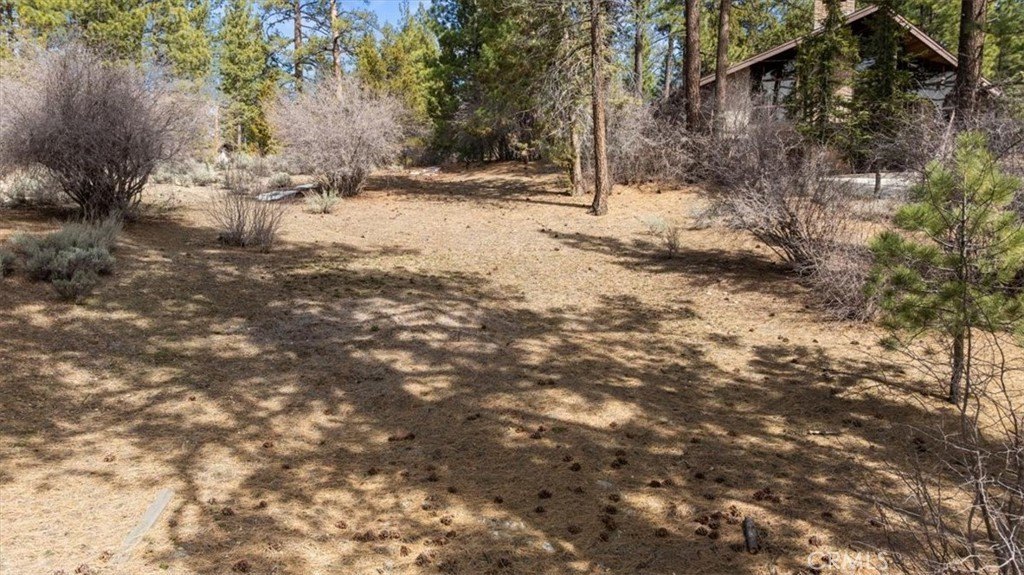 Big Bear Lake Mountain Lot