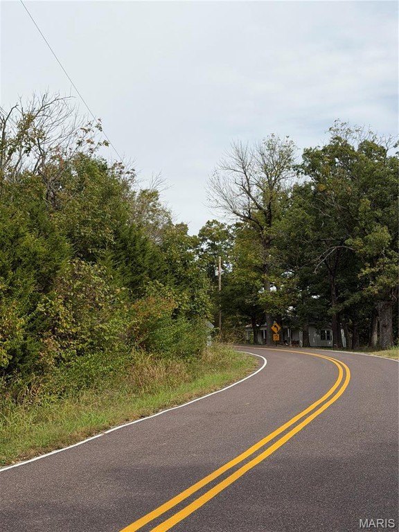 Picture 8