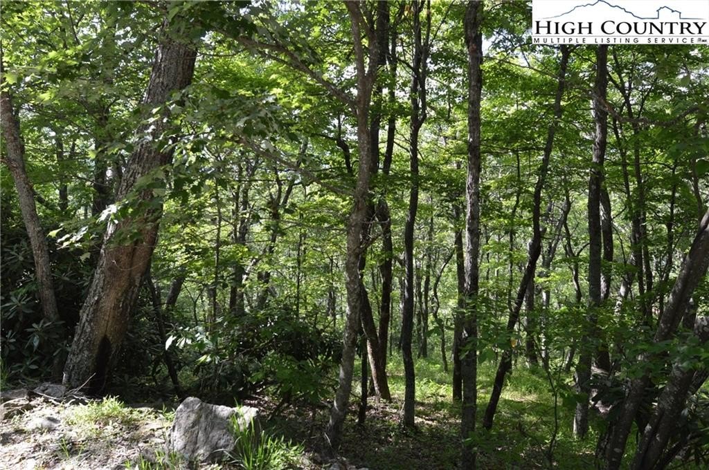Wooded Land with Mountain Views