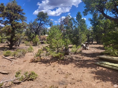 Recreational Land Near Popular Reservoirs