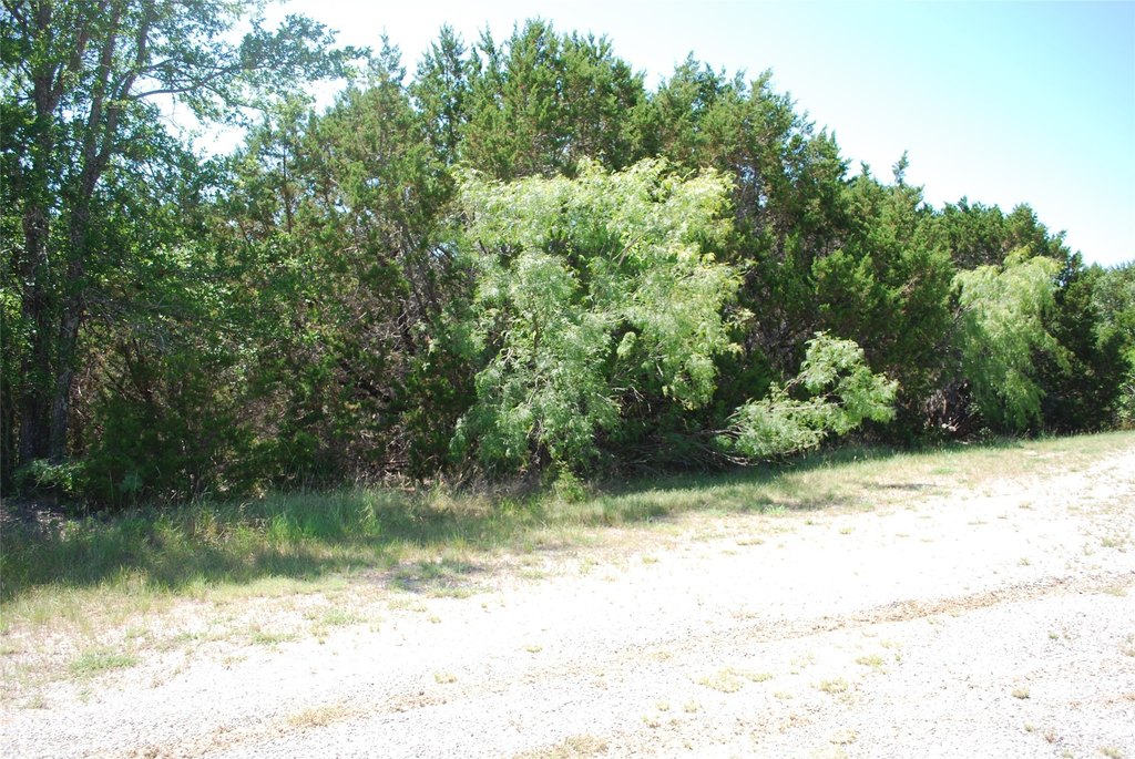 Picture 13
