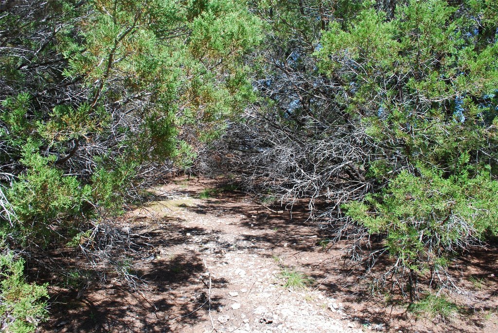 Picture 10