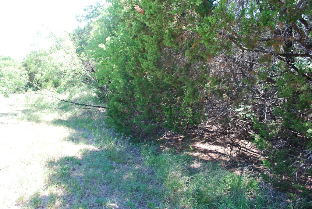 Picture 4