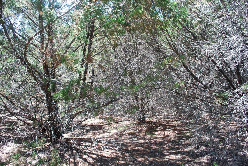 Picture 12