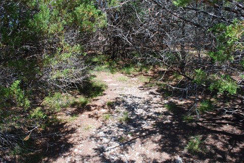 Land, Whitney, TX