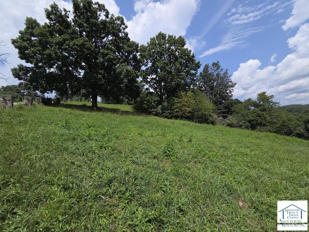Picture 4
