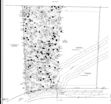 6.17-Acre Wooded Lot in Sanctuary