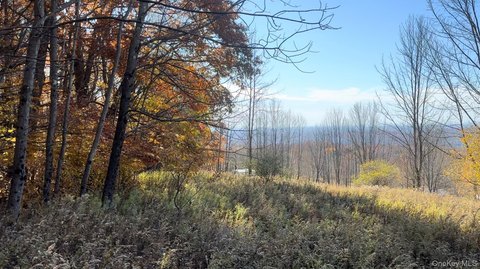 Land, Liberty, NY