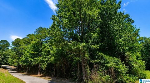 LAND - JASPER, AL