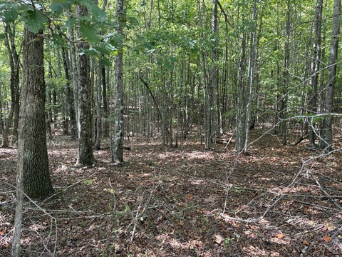 Land, Dunlap, TN