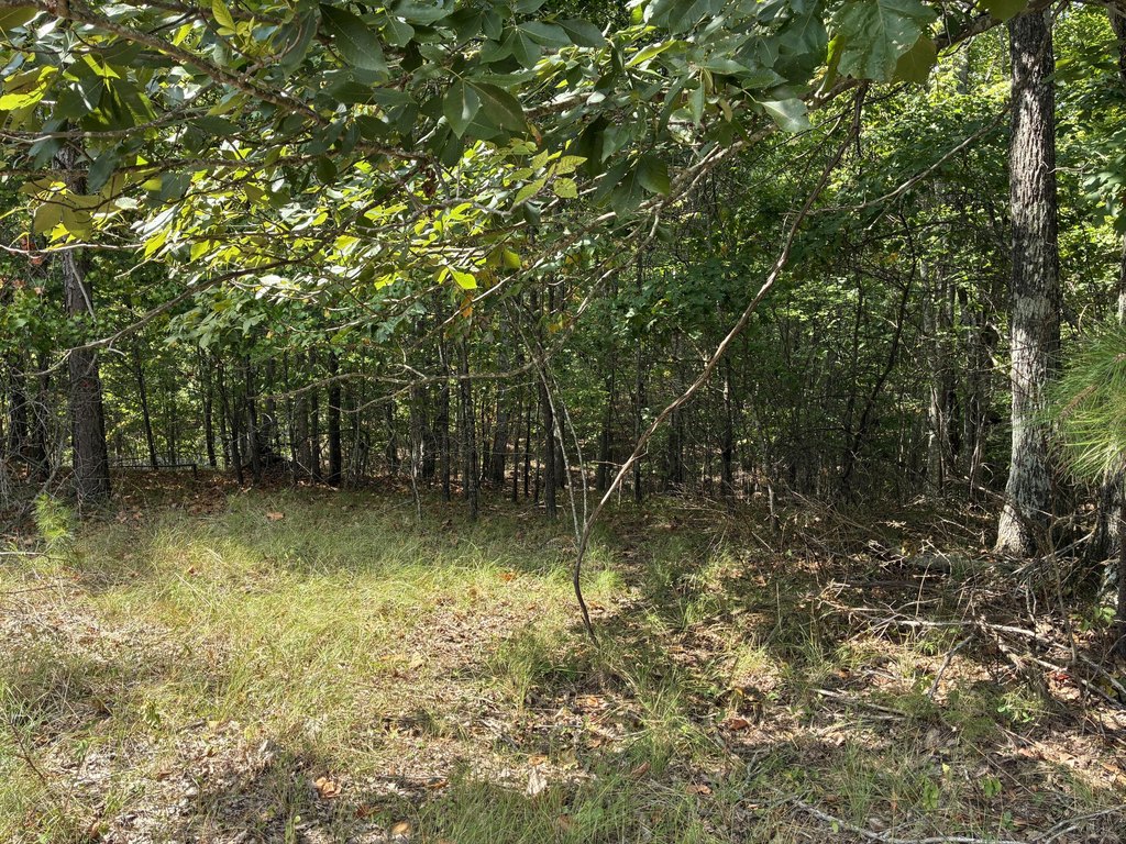 Picture 10