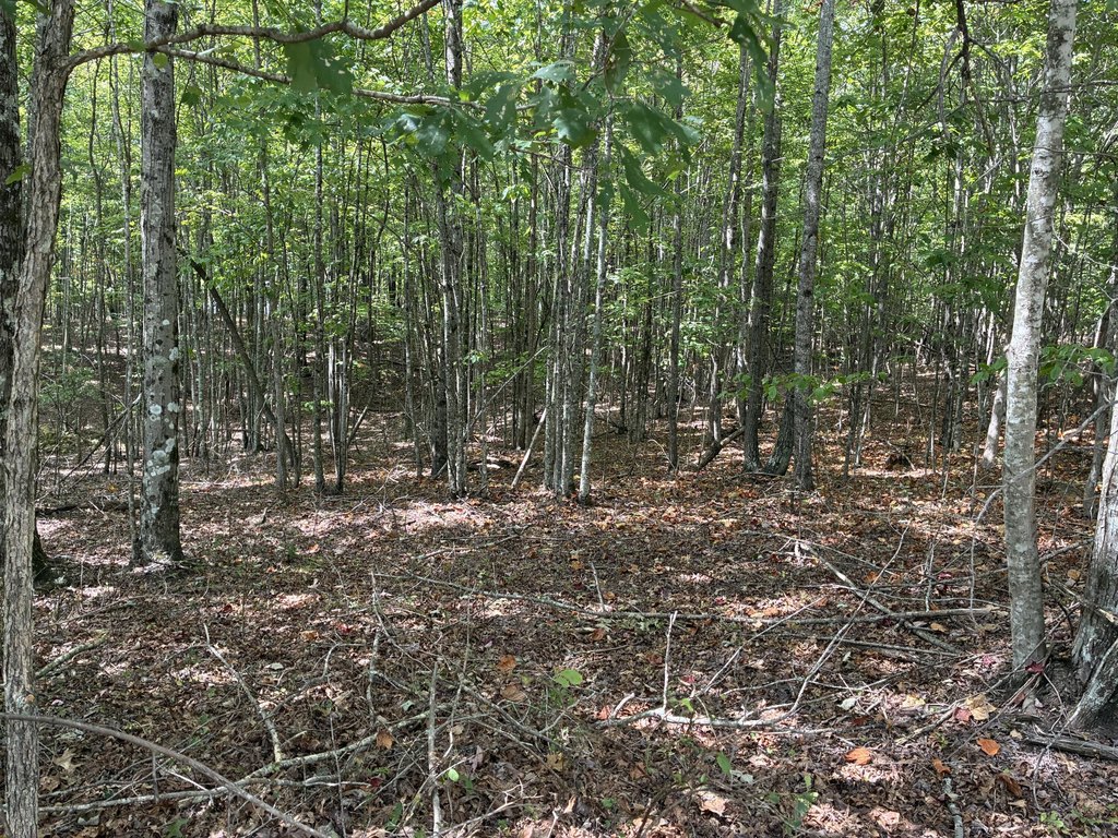 Picture 3