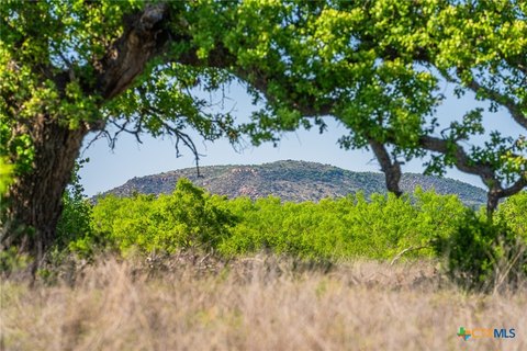 Unique Ranch Opportunity in Llano
