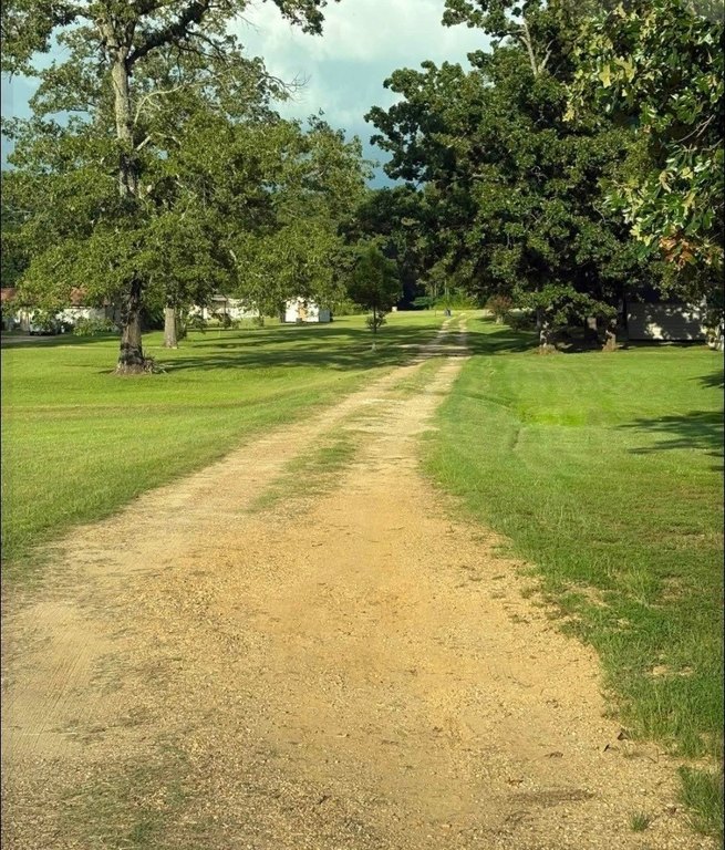 Picture 2